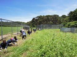 コピー ～ DSCN2378.JPG