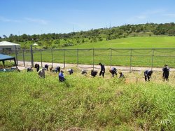 コピー ～ DSCN2387.JPG