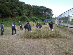 コピー ～ DSCN2461.JPG