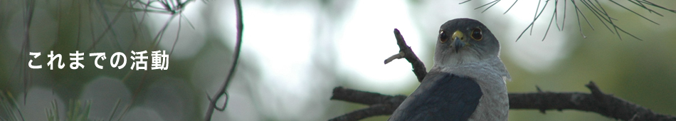 これまでの活動
