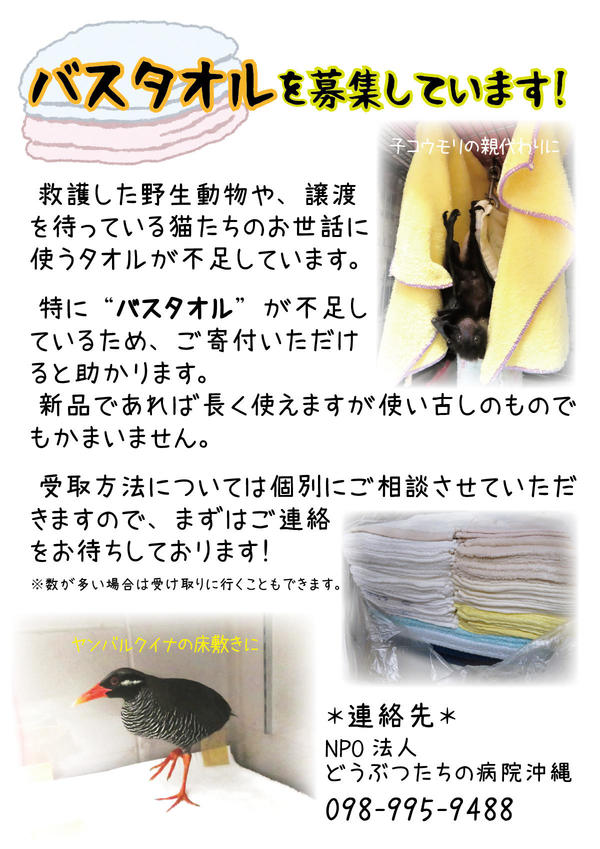 タオル募集ver2.jpg