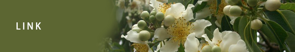 どうぶつたちの病院沖縄 LINK