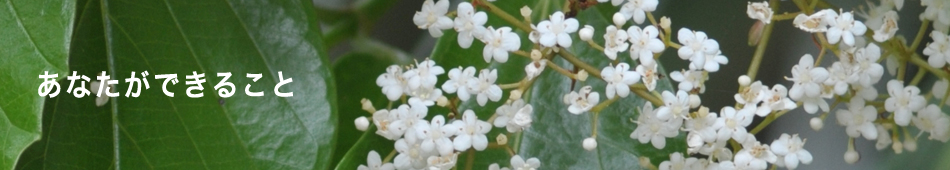 あなたができること
